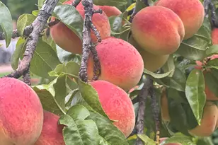 267 N 300 W, Parowan, UT 84761 - Photo 24