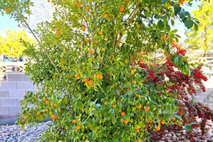 823 E Majestic Dr, Washington, UT 84780 - Photo 58