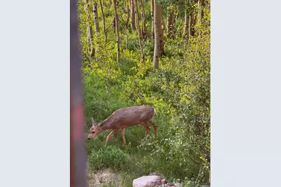 464 N Hwy 143 #A204, Brian Head, UT 84719 - Photo 14