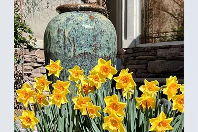 2286 Malaga Ave, Santa Clara, UT 84765 - Photo 98