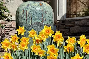 2286 Malaga Ave, Santa Clara, UT 84765 - Photo 98