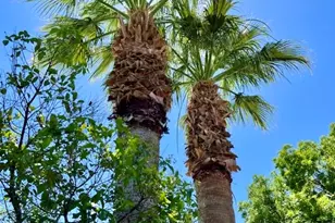 2286 Malaga Ave, Santa Clara, UT 84765 - Photo 86