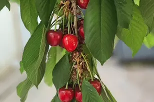 140 W 300 S, Parowan, UT 84761 - Photo 44