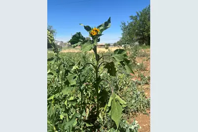 267 N 300 W, Parowan, UT 84761 - Photo 26