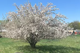 267 N 300 W, Parowan, UT 84761 - Photo 28