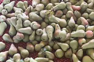 267 N 300 W, Parowan, UT 84761 - Photo 22