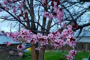 150 W 300 S, Parowan, UT 84761 - Photo 36