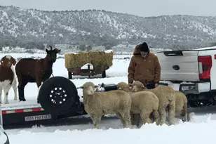 1520 Johnny Brown Pkwy, Kanab, UT 84741 - Photo 28