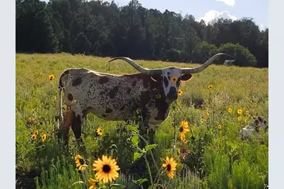 1520 Johnny Brown Parkway #24, Kanab, UT 84741 - Photo 24