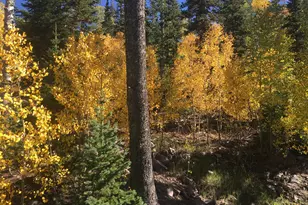 429 N Aoki Michi Rd, Brian Head, UT 84719 - Photo 54