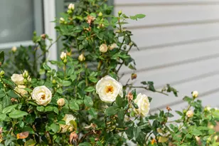 93 W 680 N, Hurricane, UT 84737 - Photo 10