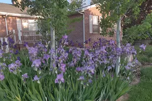 308 S 2050 W, Cedar City, UT 84720 - Photo 54