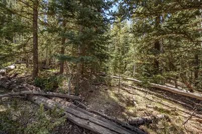 Clear Creek Estates, Panguitch, UT 84759 - Photo 8