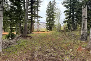 646 W Ski Vw Dr, Brian Head, UT 84719 - Photo 1