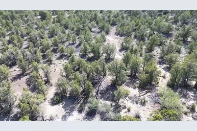 Mile 51 Highway 9 East Zion 40 Acres, Orderville, UT 84758 - Photo 6