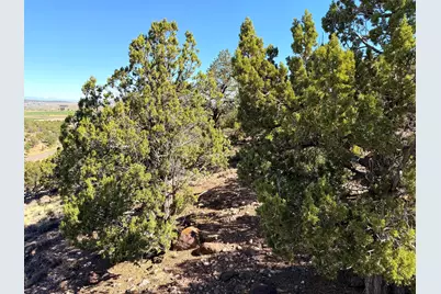 1037 S Canyon Dr, Cedar City, UT 84720 - Photo 16