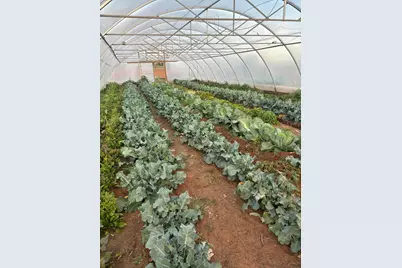 1260 State Highway 59, Hurricane, UT 84737 - Photo 2
