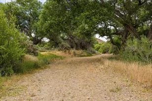 3272 W Old Hwy 120, Enterprise, UT 84725 - Photo 60