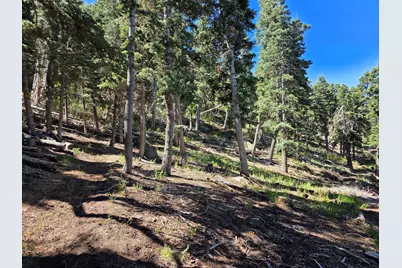 Braffits Creek Deep Canyon Rd #21, Summit, UT 84772 - Photo 24