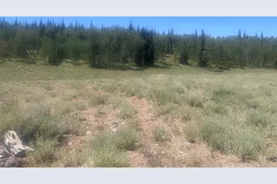 Green Meadow Acres Dr #6, Brian Head, UT 84719 - Photo 6