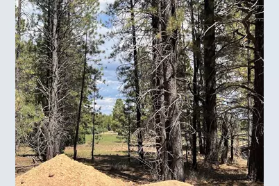 Elk Ridge Estates Lot # 9 Phase 6, Alton, UT 84710 - Photo 4
