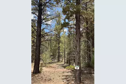 Elk Ridge Estates Lot # 17 Phase 6, Alton, UT 84710 - Photo 6