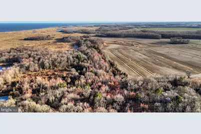 989 Pickering Beach Road, Dover, DE 19901 - Photo 10