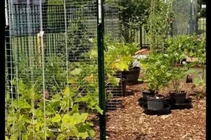 32 Nanticoke Dr, Dover, DE 19904 - Photo 54