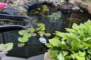 100 Brookfield Dr, Dover, DE 19901 - Photo 84