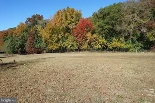 1127 Roesville Rd, Felton, DE 19943 - Photo 36