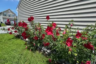 83 Zelkova Rd, Smyrna, DE 19977 - Photo 4