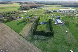 562 Black Swamp Rd, Felton, DE 19943 - Photo 70