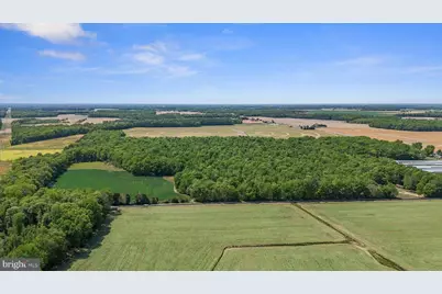 0-0 Cattail Road, Harrington, DE 19952 - Photo 18