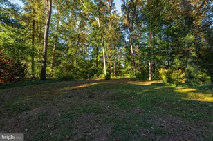 331 Sika Dr, Harrington, DE 19952 - Photo 46
