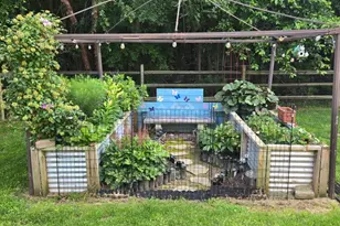 121 Willow Oak Blvd, Bear, DE 19701 - Photo 30