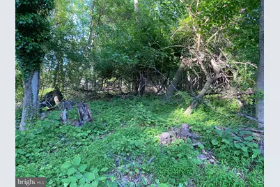 0 Exmore, Wilmington, DE 19805 - Photo 2