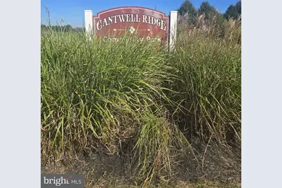 30 Cantwell Drive, Middletown, DE 19709 - Photo 16