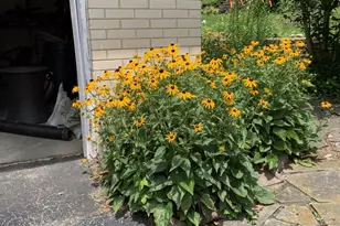 2303 Magnolia Dr, Wilmington, DE 19810 - Photo 34