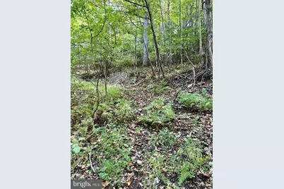 1 Laurel Ridge Lane, Wilmington, DE 19807 - Photo 10