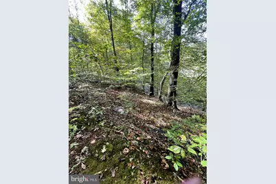 1 Laurel Ridge Lane, Wilmington, DE 19807 - Photo 4