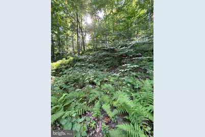 1 Laurel Ridge Lane, Wilmington, DE 19807 - Photo 1