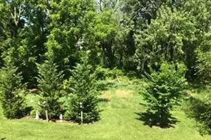 624 Vivaldi Dr, Middletown, DE 19709 - Photo 42