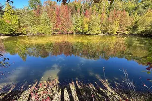 1038 Fieldsboro Rd, Townsend, DE 19734 - Photo 22