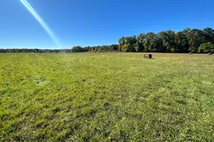1038 Fieldsboro Rd, Townsend, DE 19734 - Photo 24
