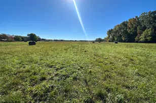 1038 Fieldsboro Rd, Townsend, DE 19734 - Photo 20