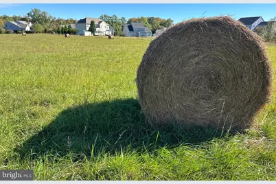 1038 Fieldsboro Road, Townsend, DE 19734 - Photo 12