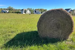 1038 Fieldsboro Rd, Townsend, DE 19734 - Photo 12