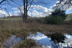 5201 Kennett Pike, Wilmington, DE 19807 - Photo 34