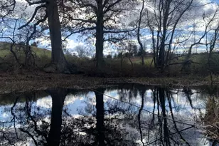 5201 Kennett Pike, Wilmington, DE 19807 - Photo 36