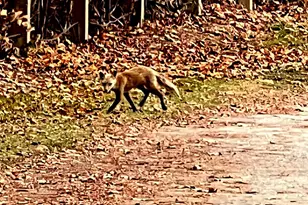 0 Delaware St, Saint Georges, DE 19733 - Photo 40